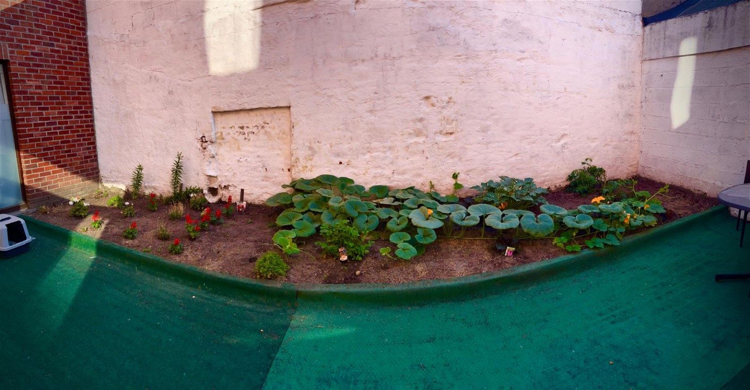 Petit espace jardin de VIVALIS 1
